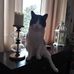Profile Picture of Karen Kilmer (@karen.kilmer.39) on Facebook