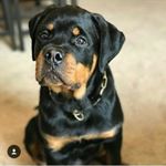 Profile Picture of Kimberly Hinds (@hin.kimberly) on Instagram