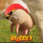 Profile Picture of Josh Stern (@Josh-Stern) on Facebook