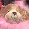 Profile Picture of Hazel Baum (@@hayliemc) on Tiktok