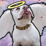 Profile Picture of Kenneth Abercrombie (@kenneth.abercrombie.39) on Instagram