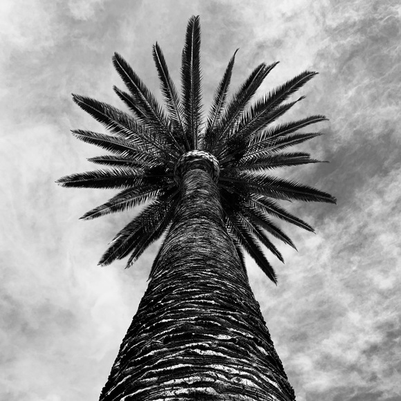 Nick Tillma - Poshmark Profile Picture of Nick Tillma (@nmtill) on Poshmark