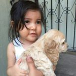 Profile Picture of raymond navasua (@raymondnavasu) on Instagram