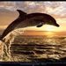 Profile Picture of Josette Thomas (@josiemthomas) on Pinterest
