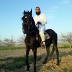 Profile Picture of احمد عبدالواحدی (@b.ahmad.abdolvahedi) on Instagram