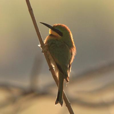 Profile Picture of Dirk Wagner (@WagnerDirk) on Twitter