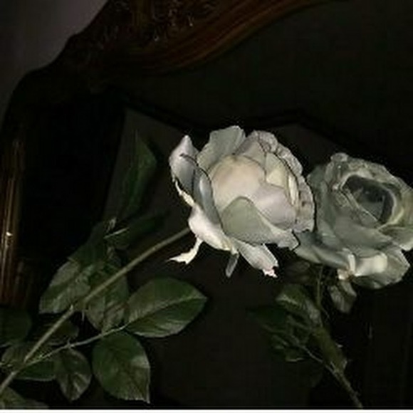 Profile Picture of Janet Chavarria (@janchava23) on Poshmark