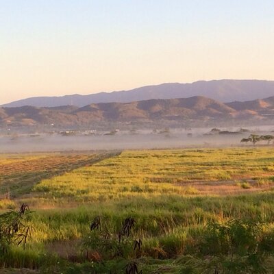 Profile Picture of Albert Borrero (@BorreroAlbert) on Twitter