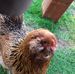 Profile Picture of Mark Rousseau (@mark.rousseau.3192) on Facebook