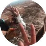 Profile Picture of Jake Snell (@jakesnell13) on Instagram