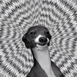 Profile Picture of Heath Lowe (@_h_lowe) on Instagram