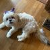 Profile Picture of Patti Swift (@patti.swift.9212) on Facebook