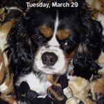 Scott Kugler - Instagram Profile Picture of Scott Kugler (@scott.kugler) on Instagram