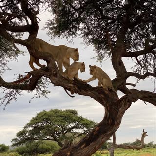 Profile Picture of Andre Schnabl (@andreschnabl) on Instagram