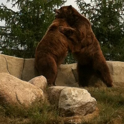 Profile Picture of Bob Bair (@BobBair) on Twitter