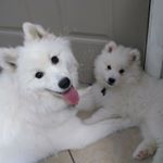 Profile Picture of Melanie Smith (@melanie.jazzspirit.daizyrayne) on Instagram