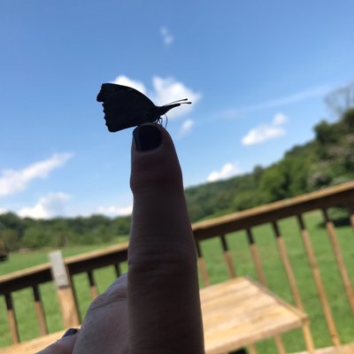 Profile Picture of Pinydinkydoo (@hurd_monica) on Twitter