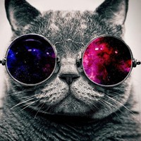 Profile Picture of Robert Eben (@robert-eben) on Quora