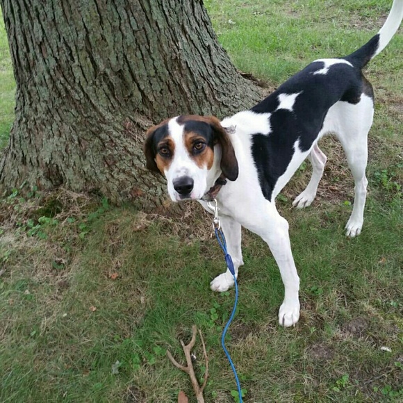 Profile Picture of Allison Day (@allisones11) on Poshmark