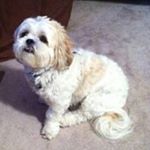 Profile Picture of Diane Poppke (@diane_poppke) on Instagram