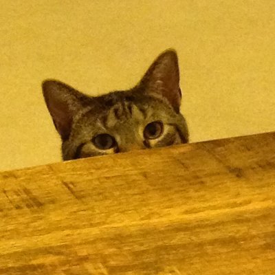 Profile Picture of Joe Colvin (@SteveRayLeonard) on Twitter