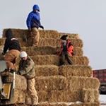 Profile Picture of Julia McGinnis (@jrwm76.jm) on Instagram