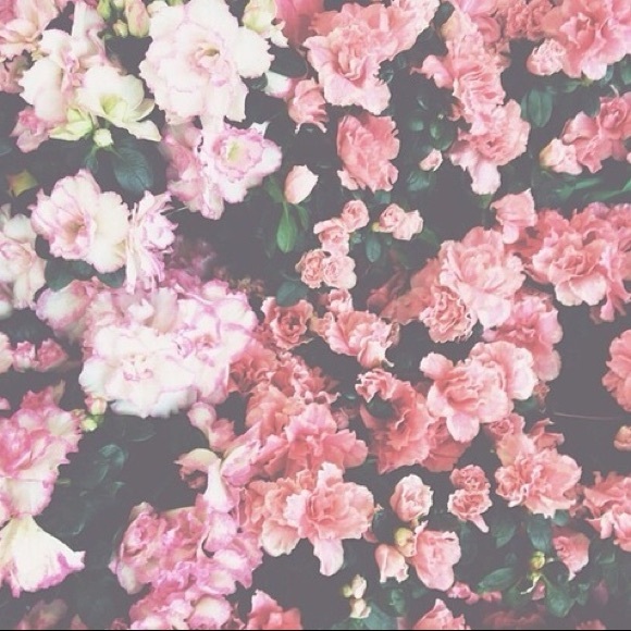 Profile Picture of Stephanie Alva (@ssmiles1214) on Poshmark