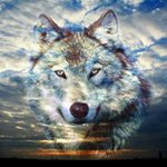 Profile Picture of mike willette (@mike.willette) on Instagram