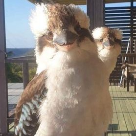 Profile Picture of Trevor John Whitlock (@TrevorJohnWhit2) on Twitter