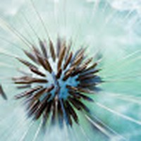 Profile Picture of Hannah Grandy (@hannah-grandy-2) on Quora