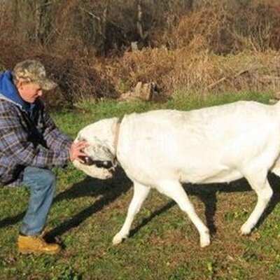 Profile Picture of Spencer Mccarty (@SpencerMccarty) on Twitter