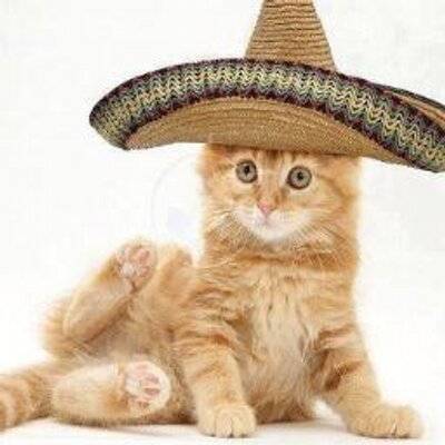 Profile Picture of Lupe Resendez (@resendezlupita) on Twitter