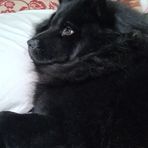 Profile Picture of Mavis Almeida (@mavis.almeida.31) on Facebook