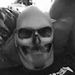 Profile Picture of Nicholas Rosenbaum (@nicholasr2493) on Pinterest