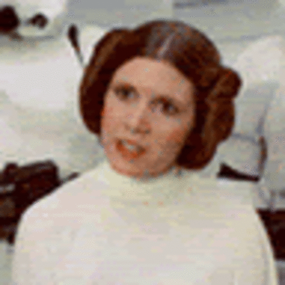 Profile Picture of Jenna Glebus (@jennalg04) on Poshmark