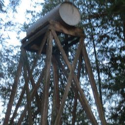 Profile Picture of Mark Stanfield (@MarkusStanfield) on Twitter