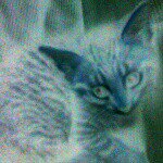 Profile Picture of Taylor Chaney (@chaneytaylor) on Instagram