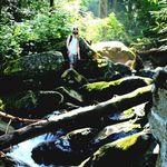 Profile Picture of Jeff Manley (@twitchyguy) on Instagram