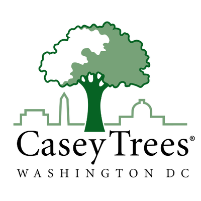 Profile Picture of Casey Trees (@CaseyTrees) on Twitter