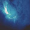 Profile Picture of Jan Kämmerer (@@jank.1909) on Tiktok