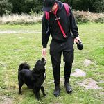 Profile Picture of Matthew Stamp (@sidneyjaq) on Instagram