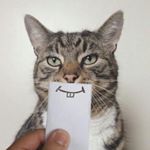 Profile Picture of Brad Bauer (@brad_bauer) on Instagram