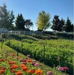 Profile Picture of Loretta Gonzalez (@Loretta-Gonzalez) on Facebook