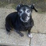 Profile Picture of Ian William Pettigrew (@iwpettigrew) on Instagram