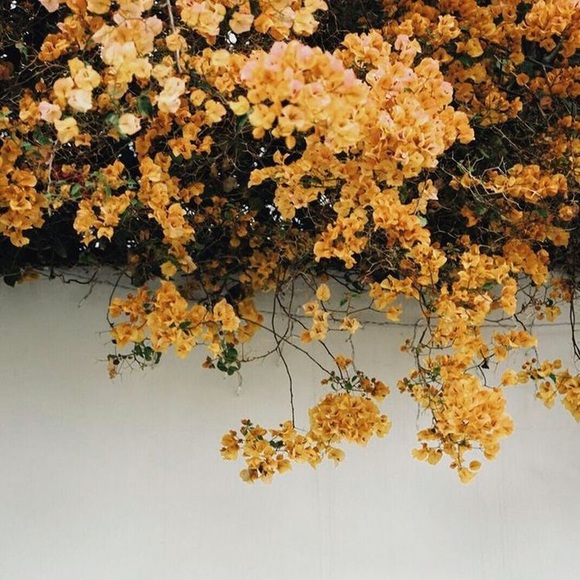 Profile Picture of Mallory Luhring (@malloryl13) on Poshmark