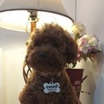 Profile Picture of Chiro Family (@michael_raynardd) on Instagram