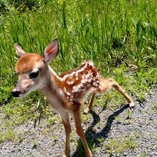 Dave Markie - Twitter Profile Picture of Dave Markie (@DaveMarkie1) on Twitter