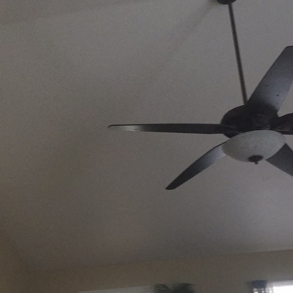 K Maylett - Poshmark Profile Picture of K Maylett (@kmaylett) on Poshmark