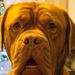 Profile Picture of Richard Mccafferty (@richardmc2) on Pinterest