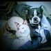 Profile Picture of Daniel Whetstone (@daniel.whetstone.1650) on Facebook